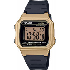 Годинник CASIO W-217HM-9AVEF