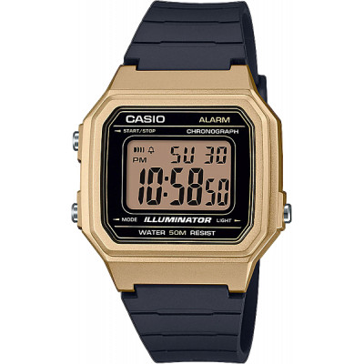 Часы CASIO W-217HM-9AVEF