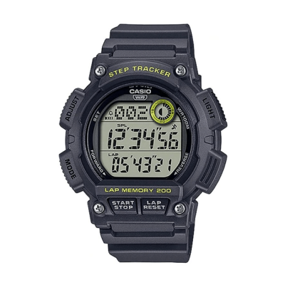 Годинник CASIO WS-2100H-8A