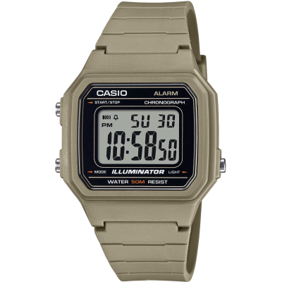 Часы Casio TIMELESS COLLECTION W-217H-5A