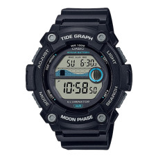 Часы CASIO WS-1300H-1A