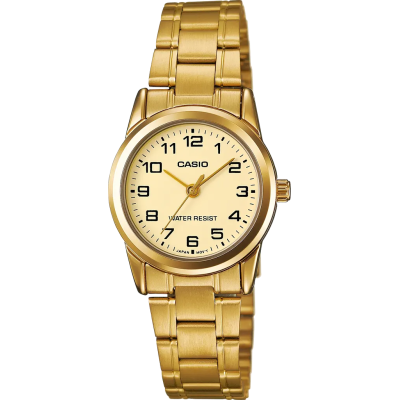 Часы Casio TIMELESS COLLECTION LTP-V001G-9BUDF