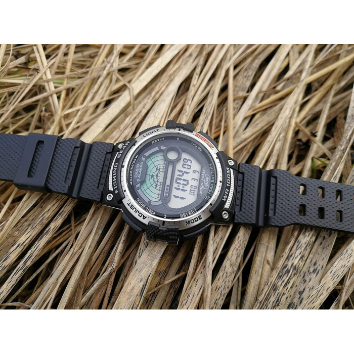 Часы Casio Collection WS-1200H-1AVEF