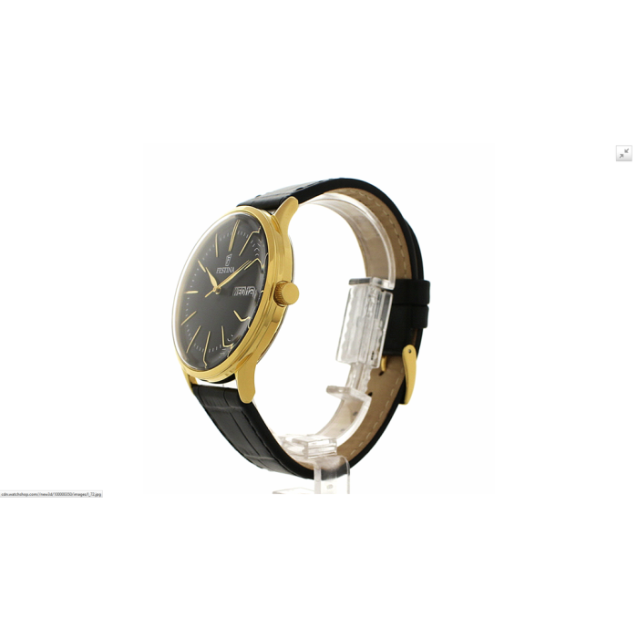 Часы Festina RETRO F6838/3