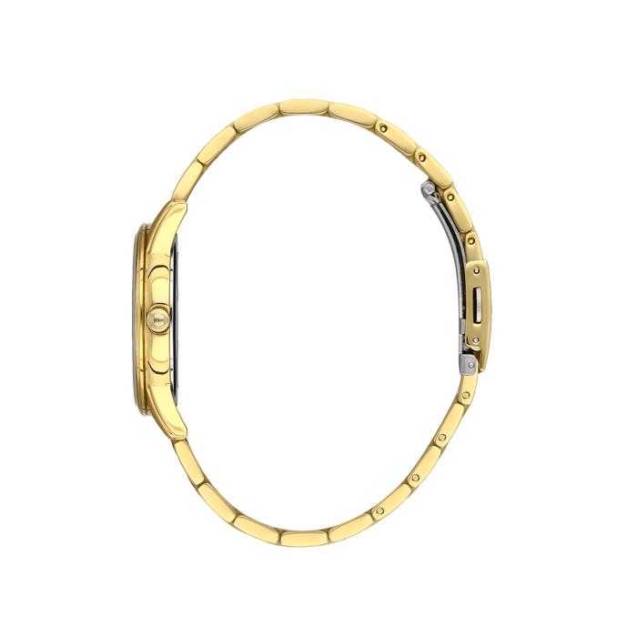 Жіночий годинник Freelook F.1.10396.2