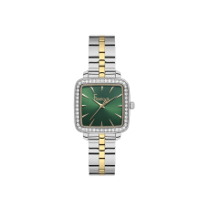 Женские часы Freelook F.1.10512.3