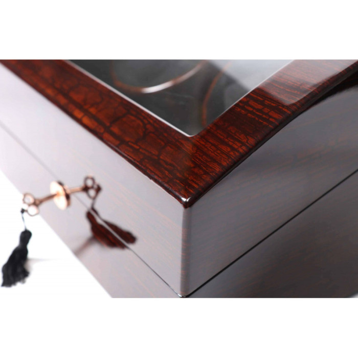 Скринька для годинників Salvadore 031/GF/F/5L 2x4+