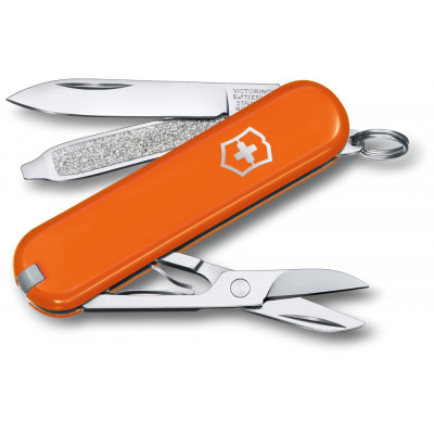 Складаний ніж Victorinox Classic SD Vx06223.83G (0.6223.83G)