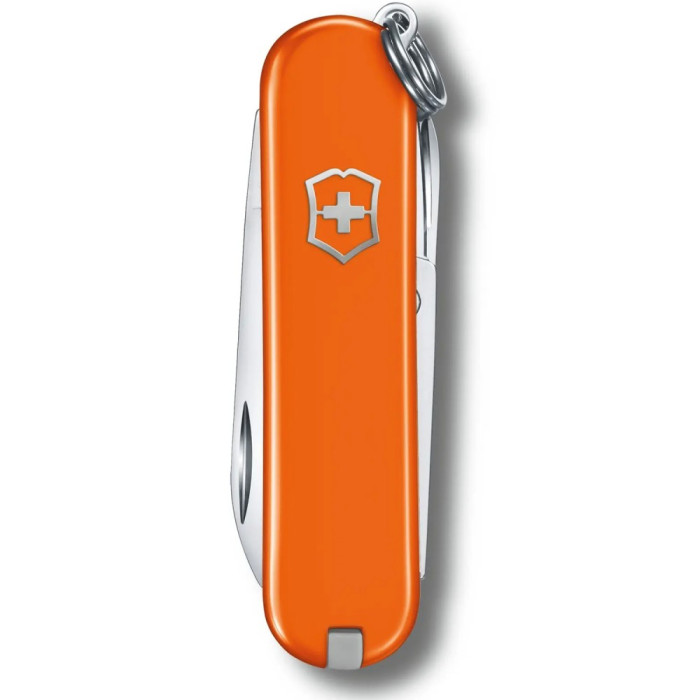 Складаний ніж Victorinox Classic SD Vx06223.83G (0.6223.83G)