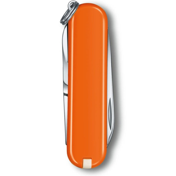 Складаний ніж Victorinox Classic SD Vx06223.83G (0.6223.83G)