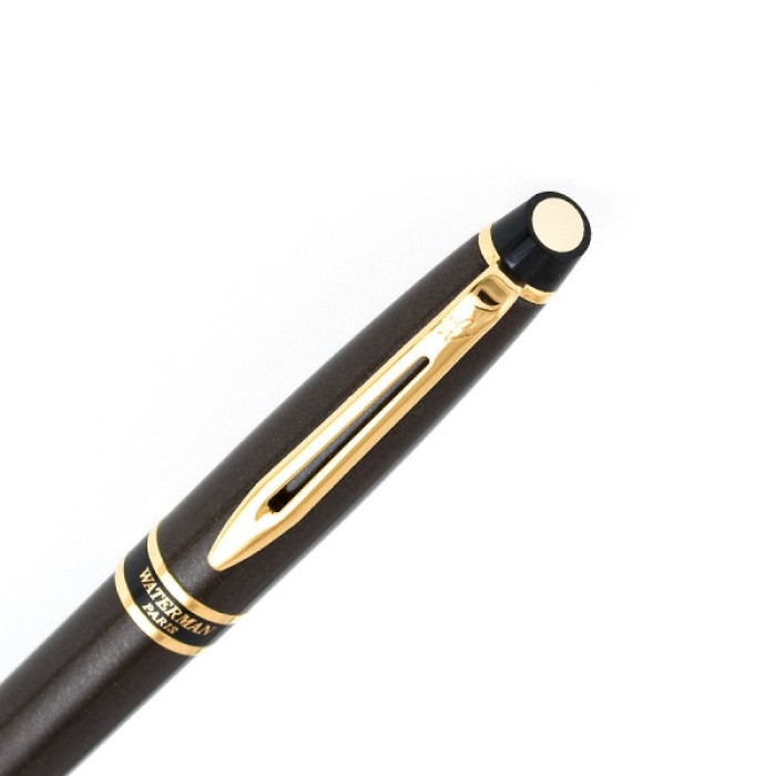 РУЧКА ПЕРЬЕВАЯ WATERMAN EXPERT SMART BROWN GT 10 028